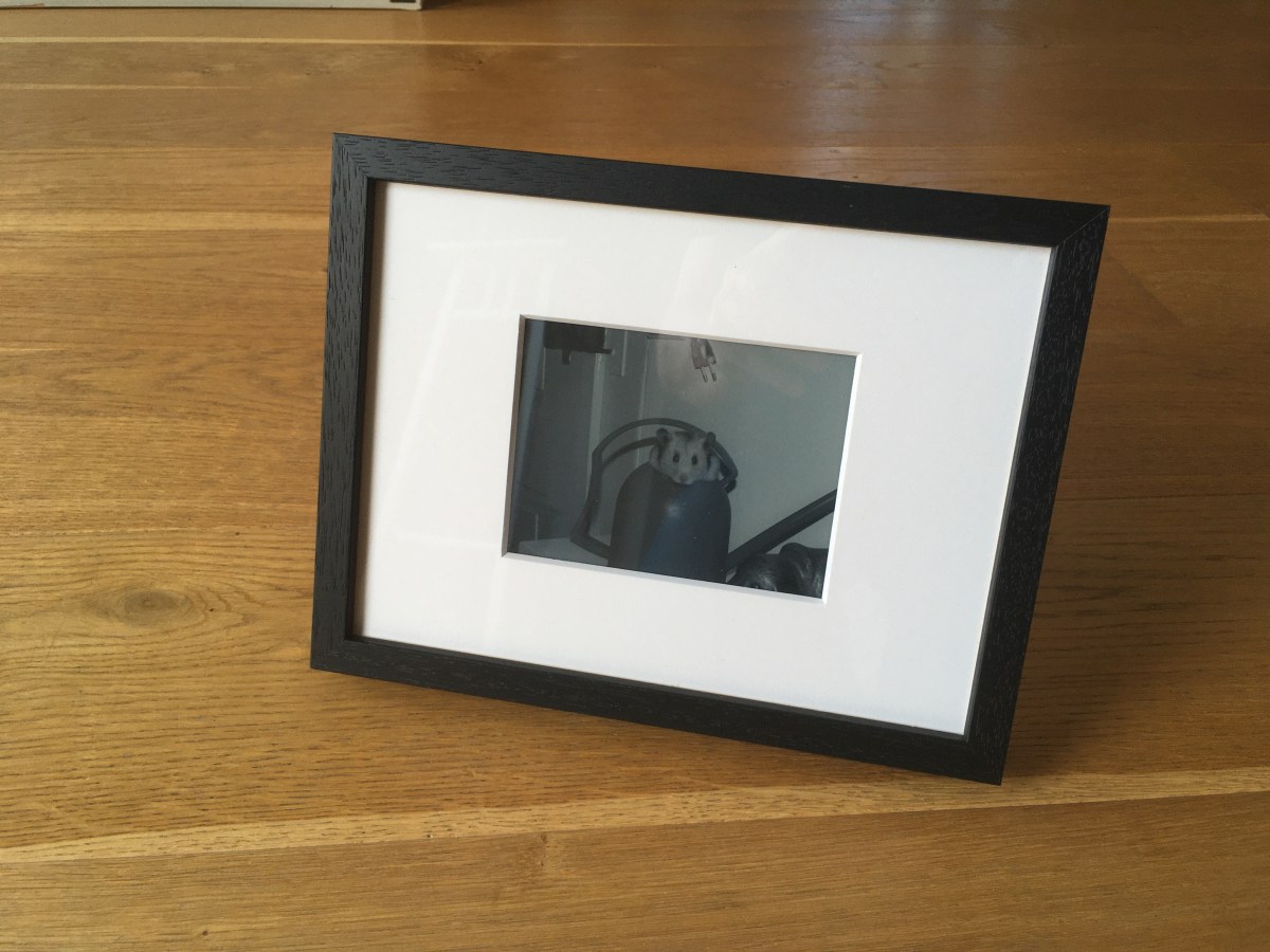 Bilderrahmen mit Kindle&nbsp;Paperwhite